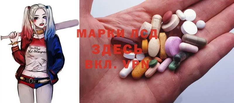 ЛСД экстази ecstasy  магазин продажи наркотиков  Высоцк 